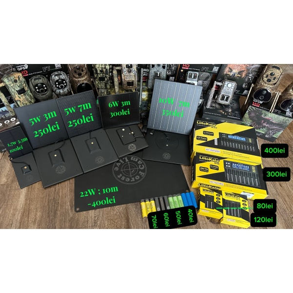 Acumulatori si incarcatoare